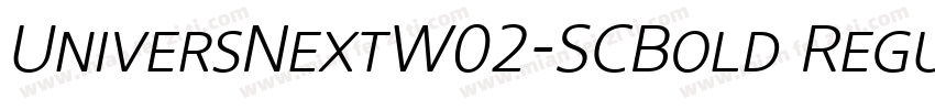 UniversNextW02-SCBold Regular字体转换